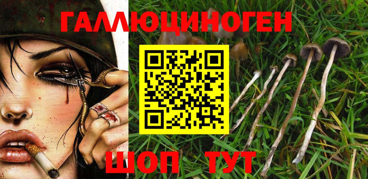 Галлюциногенные грибы Magic Shrooms  Галлюциногенные грибы мухоморы  Мыски  Вход с VPN 
